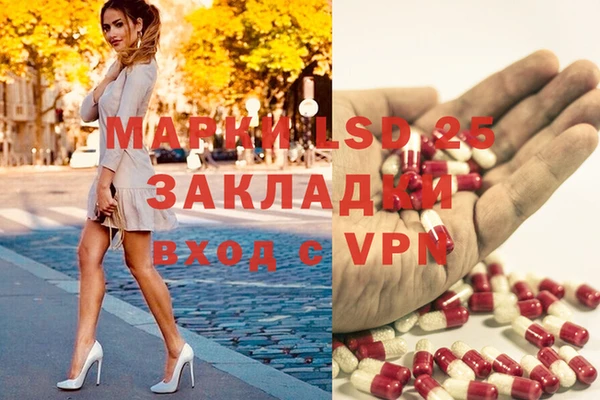 спиды Арсеньев
