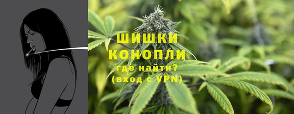 spice Аркадак