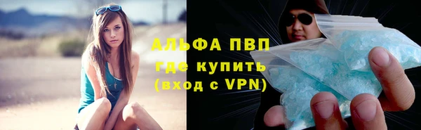 spice Аркадак