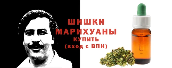 spice Аркадак