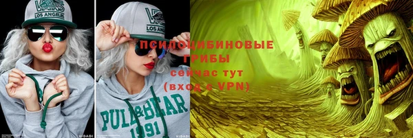 spice Аркадак