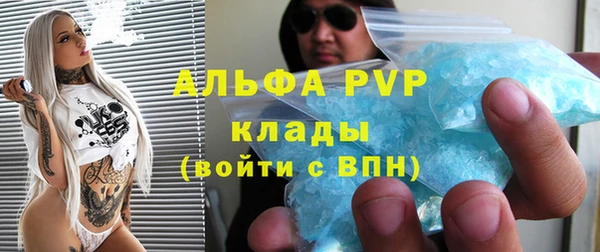 spice Аркадак