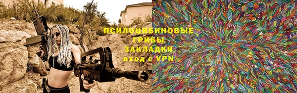 spice Аркадак