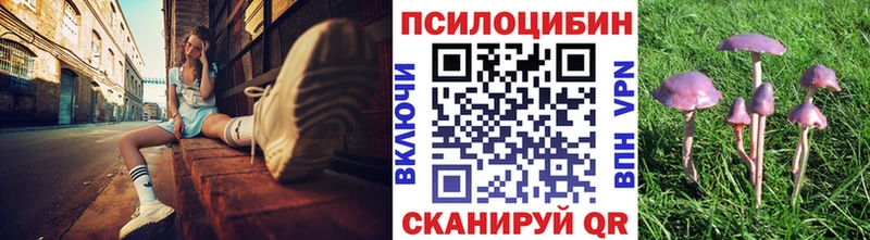 Псилоцибиновые грибы GOLDEN TEACHER  Губаха 